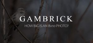 how big is an 8x10 photo banner 1.0