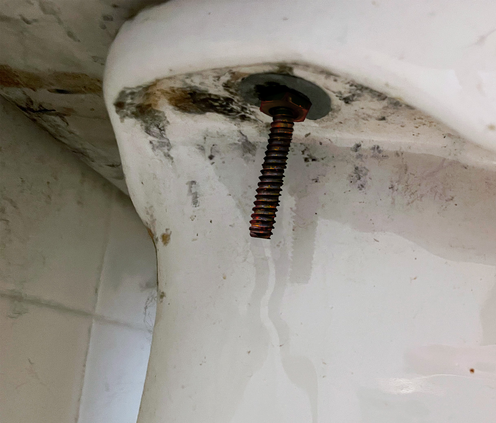 how to remove rusted toilet tank bolts 1.0