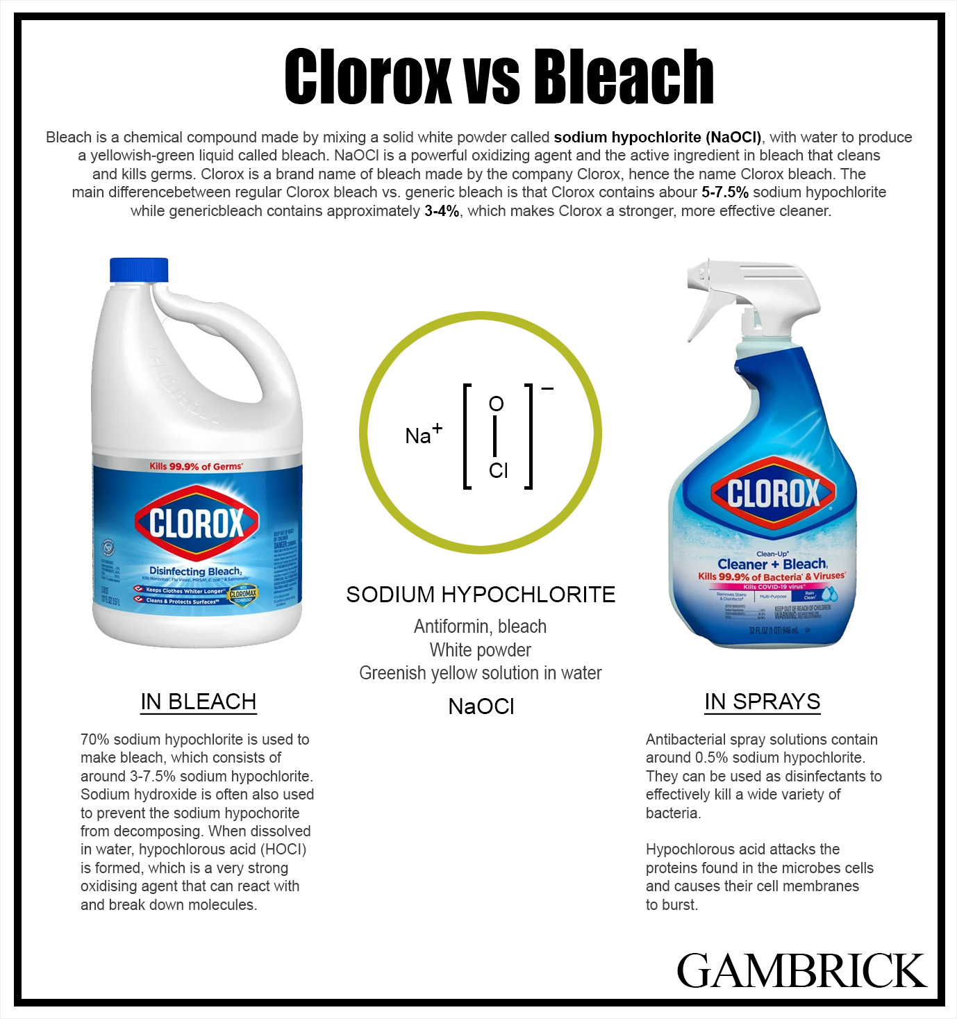 what's the difference between clorox and bleach infographic chart 1.0