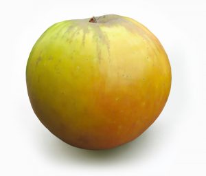 yellow apples and their uses -Antonovka apples 1.0