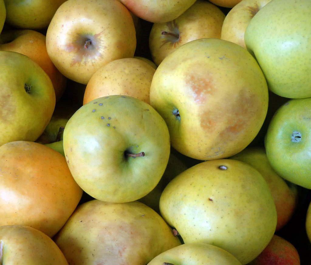 24 Yellow Apples And Their Uses
