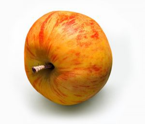 yellow apples and their uses -Gravenstein apples 1.0