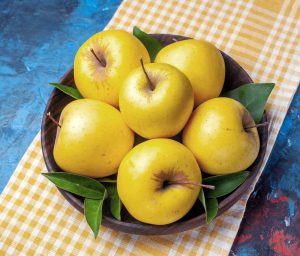 yellow apples and their uses - Newtown Pippin 1.0
