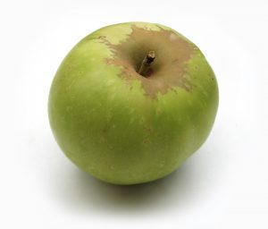 yellow apples and their uses - Rhode Island Greening 1.0