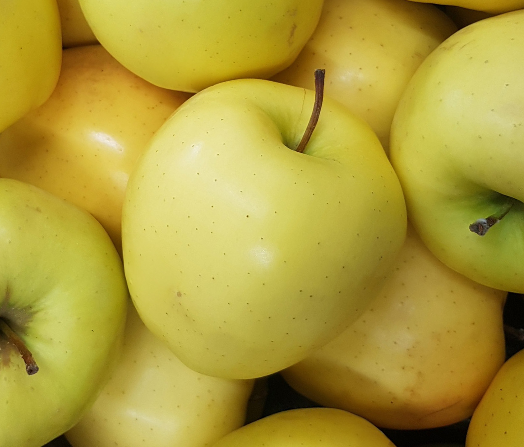 yellow apples and their uses - golden delicious 1.0