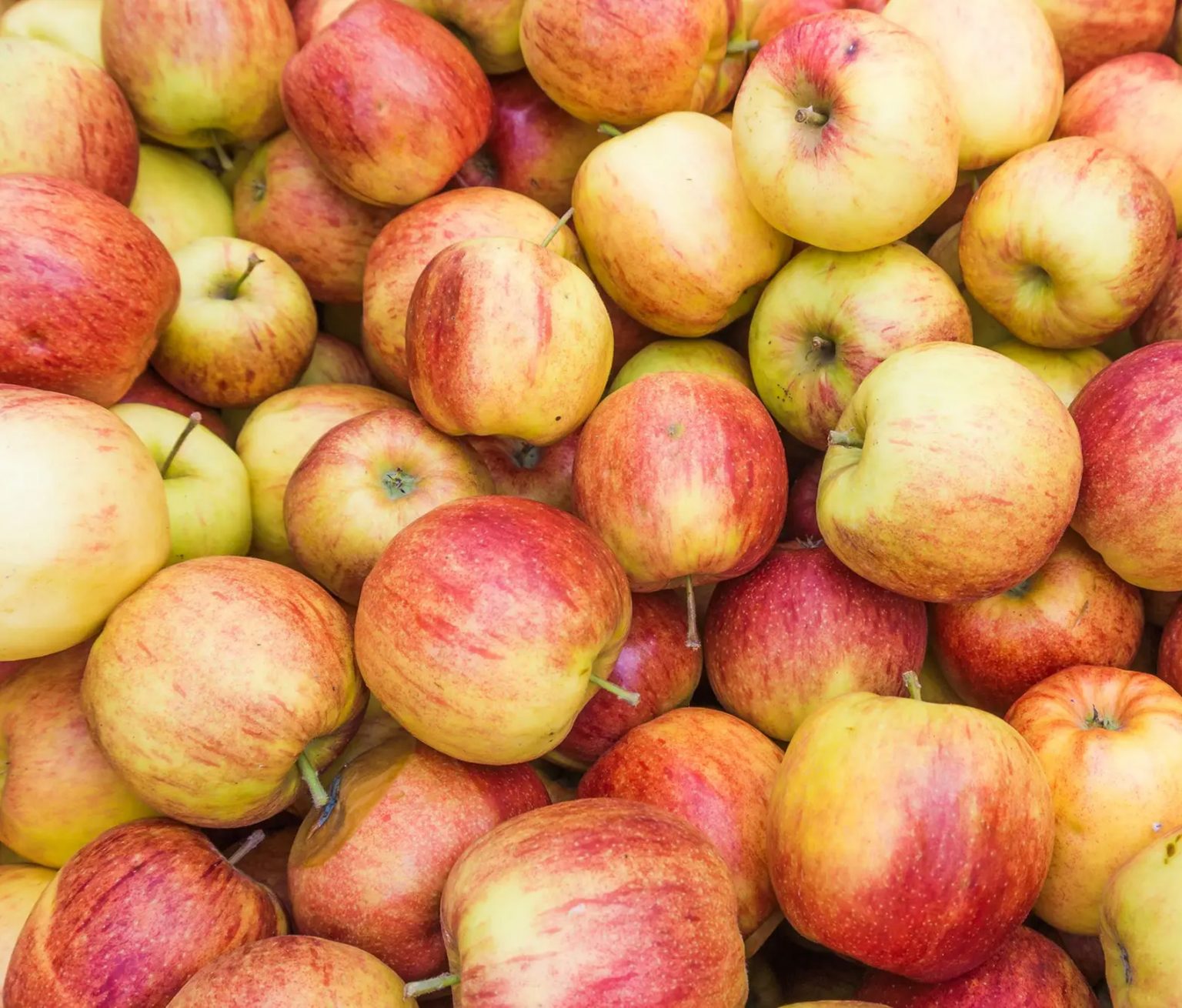 24 Yellow Apples And Their Uses