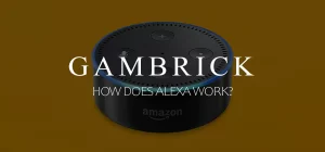 How Does Alexa Work banner 1.0